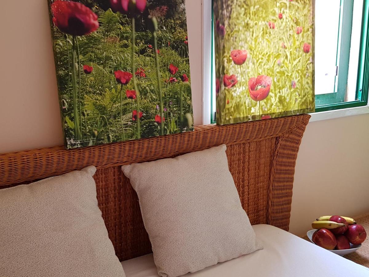 The Poppies Guest House - 100M Ocean - Private Spaces Канделария Екстериор снимка