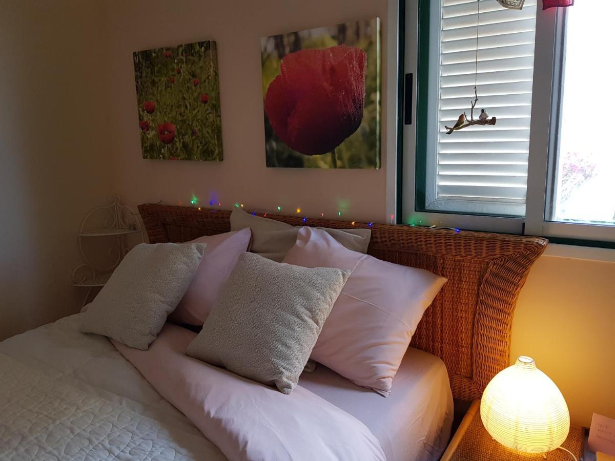 The Poppies Guest House - 100M Ocean - Private Spaces Канделария Екстериор снимка