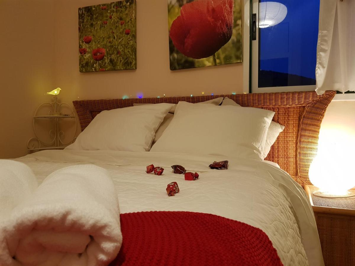 The Poppies Guest House - 100M Ocean - Private Spaces Канделария Екстериор снимка